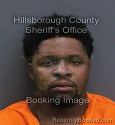Mugshot of Andrew Cole Faulkner booked in Hillsborough County, Florida on August 23, 2026