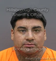 Mugshot of Juan Antonio Ventura booked in Hillsborough County, Florida on August 23, 2026