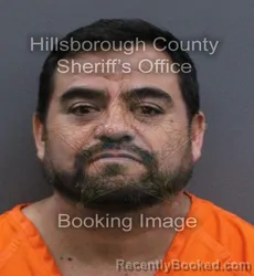 Mugshot of Pascual Hernandez Trejo booked in Hillsborough County, Florida on August 23, 2026