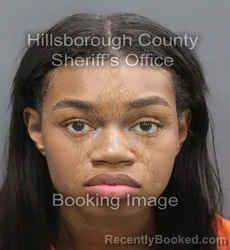 Mugshot of Serenity P Garza booked in Hillsborough County, Florida on August 23, 2026