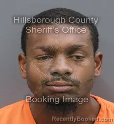 Mugshot of Carlos Niguel Harrison booked in Hillsborough County, Florida on August 23, 2026