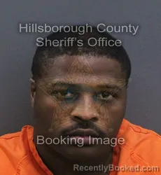 Mugshot of Wade Hamilton booked in Hillsborough County, Florida on August 23, 2026
