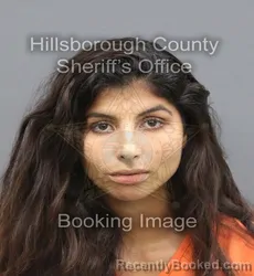 Mugshot of Maria Carvalho Do Amaral M booked in Hillsborough County, Florida on August 23, 2026