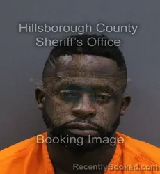 Mugshot of Liosan D Zequeira Villafranca booked in Hillsborough County, Florida on August 23, 2026