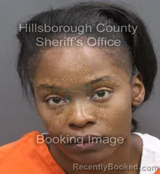 Mugshot of Fredneisha Jametria Buie booked in Hillsborough County, Florida on August 23, 2026