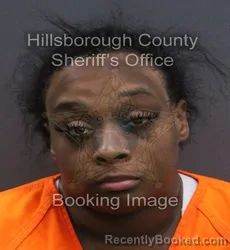 Mugshot of Ashauntia Dsha Vereen booked in Hillsborough County, Florida on August 23, 2026