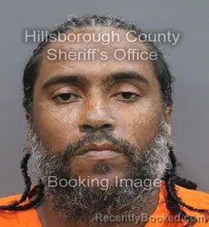 Mugshot of Mikheal Jeramie Castillo booked in Hillsborough County, Florida on August 23, 2026