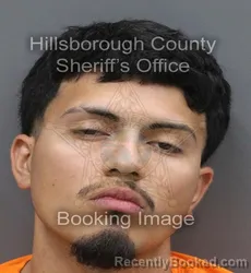 Mugshot of Daniel Rosales booked in Hillsborough County, Florida on August 23, 2026
