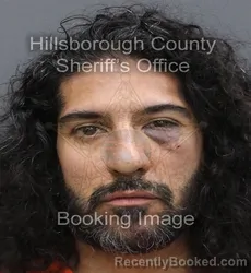 Mugshot of Glenn Albert Candelario booked in Hillsborough County, Florida on August 23, 2026
