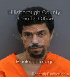 Mugshot of John Jared Robinson booked in Hillsborough County, Florida on August 23, 2026