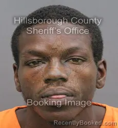 Mugshot of Roszelle Percy Redding booked in Hillsborough County, Florida on August 23, 2026