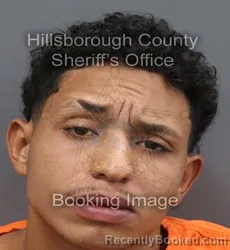 Mugshot of Jeremy Jabdiel Ulloa Mulero booked in Hillsborough County, Florida on August 23, 2026
