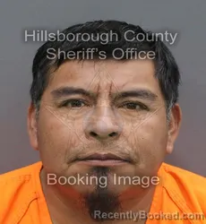 Mugshot of Jose Cruz Rigoberto booked in Hillsborough County, Florida on August 23, 2026