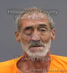 Mugshot of Kim Dale Jones booked in Hillsborough County, Florida on August 23, 2026