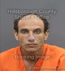 Mugshot of Dakota Andrew White booked in Hillsborough County, Florida on August 23, 2026
