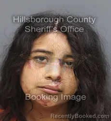 Mugshot of Alicia Elisabeth Renteria booked in Hillsborough County, Florida on August 23, 2026
