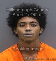 Mugshot of Amari Ahmad Fields booked in Hillsborough County, Florida on August 23, 2026
