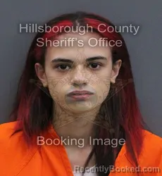 Mugshot of Kayla Luree Crawmer booked in Hillsborough County, Florida on August 23, 2026