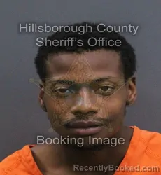 Mugshot of Shemar Rejon Kirnes booked in Hillsborough County, Florida on August 23, 2026