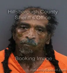 Mugshot of Tyrone Lee Mayhue booked in Hillsborough County, Florida on August 23, 2026
