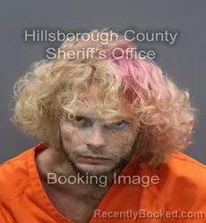 Booking photo from Hillsborough County, Florida