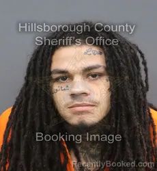 Mugshot of Zion Alexander Ryan booked in Hillsborough County, Florida on August 23, 2026