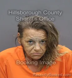 Mugshot of Lisa Meacheal Mckinley booked in Hillsborough County, Florida on August 23, 2026