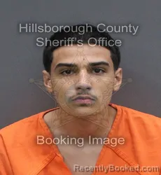 Mugshot of Eyad Jamal Alhasan booked in Hillsborough County, Florida on August 24, 2026