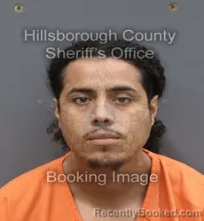 Mugshot of Xavier Benjamin Rodriguez booked in Hillsborough County, Florida on August 24, 2026