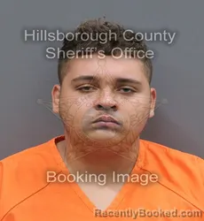 Mugshot of Angel Carlos Pena booked in Hillsborough County, Florida on August 24, 2026