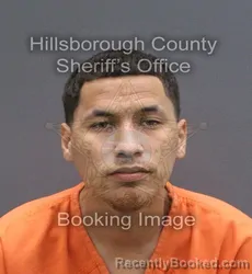 Mugshot of Jose Alejandro Romero booked in Hillsborough County, Florida on August 24, 2026