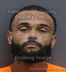 Mugshot of Adrian Kenneth Cohen booked in Hillsborough County, Florida on August 24, 2026