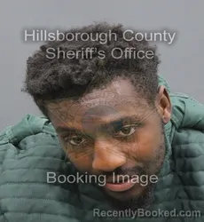 Mugshot of Trevon Malik Syndab booked in Hillsborough County, Florida on August 24, 2026