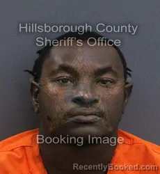 Mugshot of Janos Sr Borgella booked in Hillsborough County, Florida on August 24, 2026