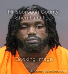 Mugshot of Imaculat Seanmicheal Williams booked in Hillsborough County, Florida on August 24, 2026