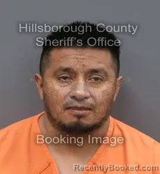 Mugshot of Jose Angel Gonzalez Chavez booked in Hillsborough County, Florida on August 24, 2026