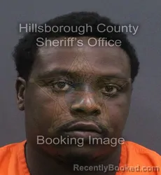 Mugshot of Darren Donnell Jr Williams booked in Hillsborough County, Florida on August 24, 2026