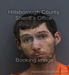 Mugshot of Shawn Eugene Smith booked in Hillsborough County, Florida on August 24, 2026