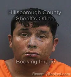 Mugshot of Luis Alejandro Pineda Semprun booked in Hillsborough County, Florida on August 24, 2026