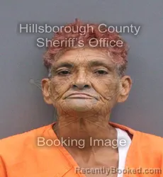 Mugshot of Madelyn Matos booked in Hillsborough County, Florida on August 24, 2026