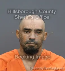 Mugshot of Cesar Octavio Luna booked in Hillsborough County, Florida on August 24, 2026