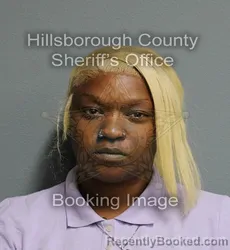 Mugshot of Elricka Merecedes Telemaque booked in Hillsborough County, Florida on August 24, 2026