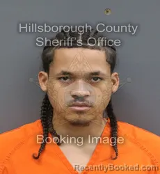 Mugshot of Jenzzy David Smith booked in Hillsborough County, Florida on August 24, 2026