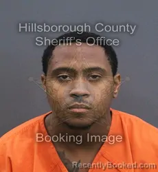 Mugshot of Zachary Lionel Juste booked in Hillsborough County, Florida on August 24, 2026