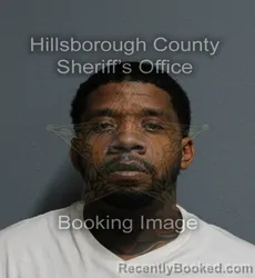 Mugshot of Welfry Francisco Garcia Castillo booked in Hillsborough County, Florida on August 24, 2026
