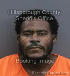 Mugshot of Joshua Xavier Alexander Brown booked in Hillsborough County, Florida on August 24, 2026