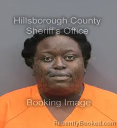 Mugshot of Rachel A Pierre booked in Hillsborough County, Florida on August 24, 2026