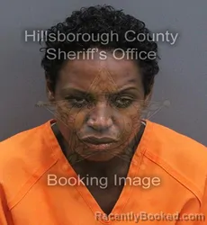 Mugshot of Adalgisa De Los Santos booked in Hillsborough County, Florida on August 24, 2026