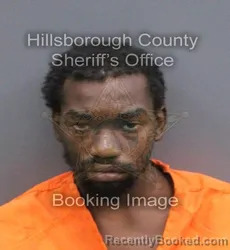 Mugshot of Romeo Anthony Tucker booked in Hillsborough County, Florida on August 24, 2026