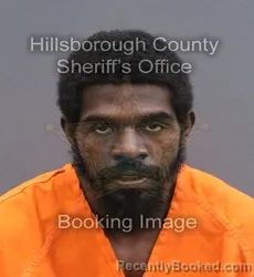 Mugshot of Alec Holmes booked in Hillsborough County, Florida on August 24, 2026